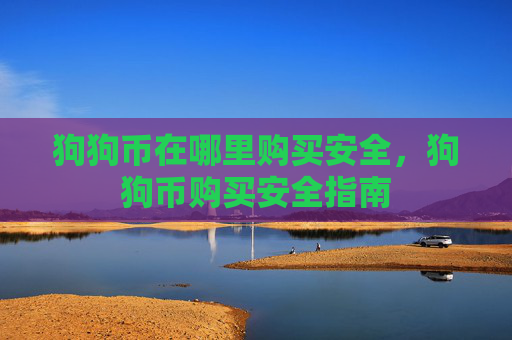狗狗币在哪里购买安全，狗狗币购买安全指南