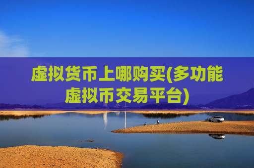 虚拟货币上哪购买(多功能虚拟币交易平台)