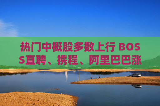 热门中概股多数上行 BOSS直聘、携程、阿里巴巴涨超4%