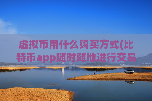 虚拟币用什么购买方式(比特币app随时随地进行交易)