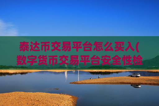 泰达币交易平台怎么买入(数字货币交易平台安全性检验)