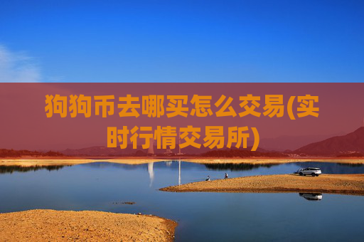 狗狗币去哪买怎么交易(实时行情交易所)