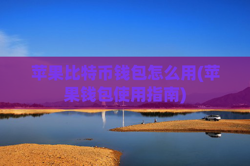 苹果比特币钱包怎么用(苹果钱包使用指南)