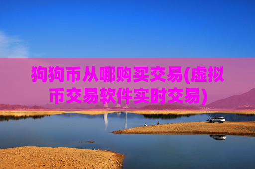 狗狗币从哪购买交易(虚拟币交易软件实时交易)