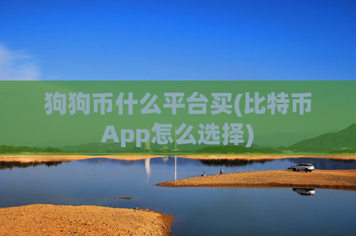 狗狗币什么平台买(比特币App怎么选择)