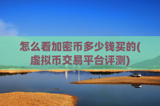 怎么看加密币多少钱买的(虚拟币交易平台评测)