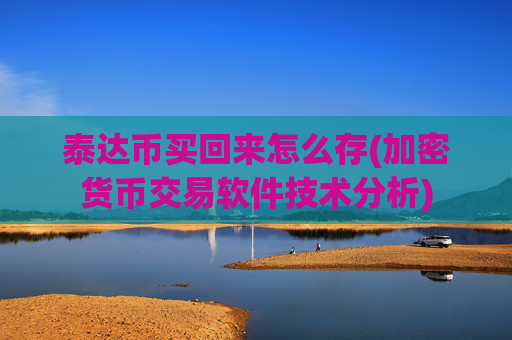 泰达币买回来怎么存(加密货币交易软件技术分析)