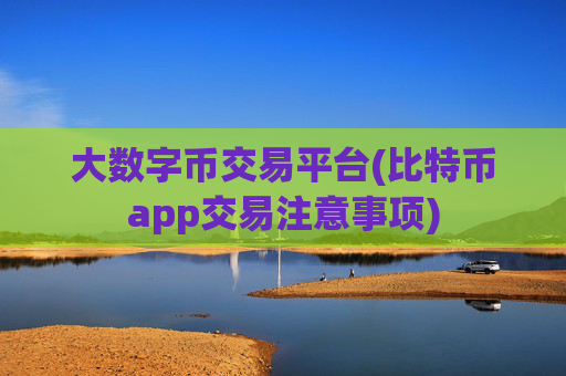 大数字币交易平台(比特币app交易注意事项)