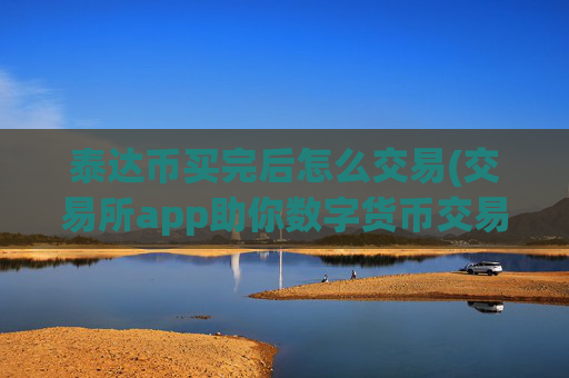 泰达币买完后怎么交易(交易所app助你数字货币交易)