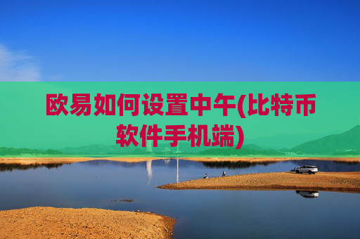 欧易如何设置中午(比特币软件手机端)