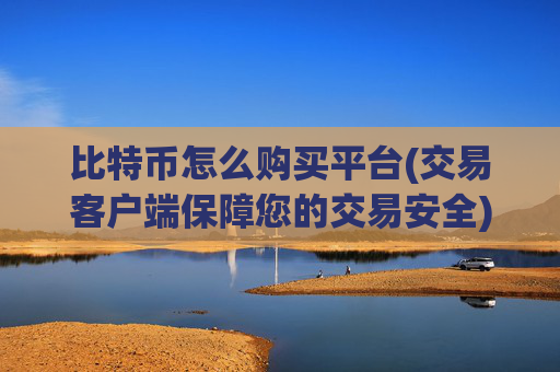 比特币怎么购买平台(交易客户端保障您的交易安全)