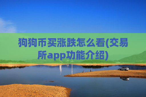 狗狗币买涨跌怎么看(交易所app功能介绍)