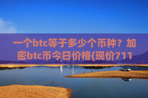 一个btc等于多少个币种？加密btc币今日价格(现价711105.23元)