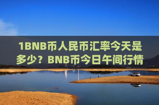 1BNB币人民币汇率今天是多少？BNB币今日午间行情价格(现价5307.91元)