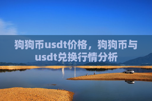 狗狗币usdt价格，狗狗币与usdt兑换行情分析