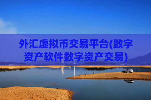外汇虚拟币交易平台(数字资产软件数字资产交易)