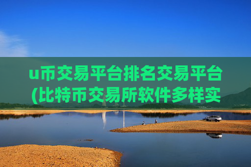 u币交易平台排名交易平台(比特币交易所软件多样实用)