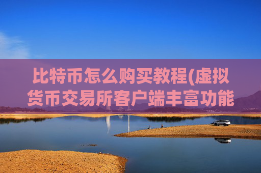 比特币怎么购买教程(虚拟货币交易所客户端丰富功能)