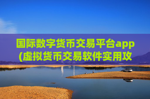 国际数字货币交易平台app(虚拟货币交易软件实用攻略)