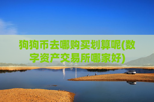 狗狗币去哪购买划算呢(数字资产交易所哪家好)