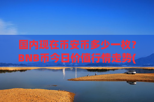 国内现在币安币多少一枚？BNB币今日价值行情走势(现价5312.41元)