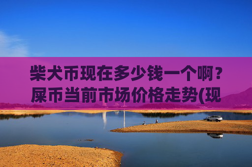 柴犬币现在多少钱一个啊？屎币当前市场价格走势(现价0.00022386元)