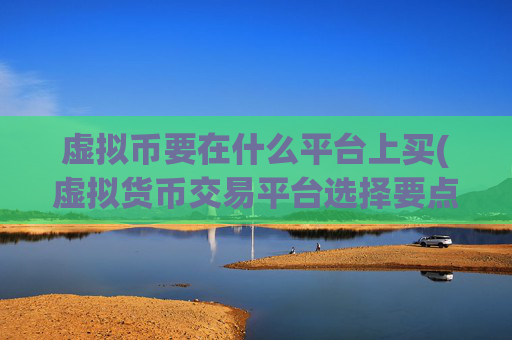 虚拟币要在什么平台上买(虚拟货币交易平台选择要点)