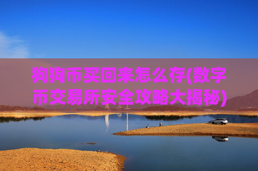 狗狗币买回来怎么存(数字币交易所安全攻略大揭秘)