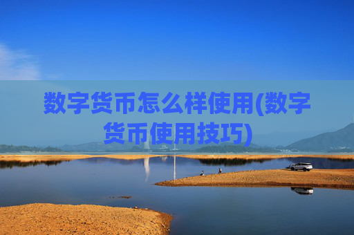 数字货币怎么样使用(数字货币使用技巧)