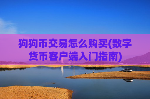狗狗币交易怎么购买(数字货币客户端入门指南)