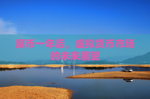 屎币一年后，虚拟货币市场的未来展望
