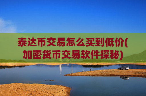 泰达币交易怎么买到低价(加密货币交易软件探秘)