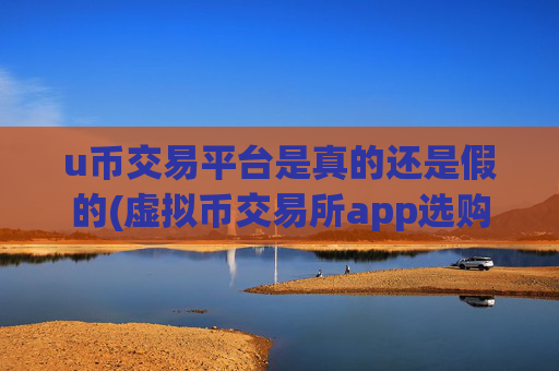 u币交易平台是真的还是假的(虚拟币交易所app选购)