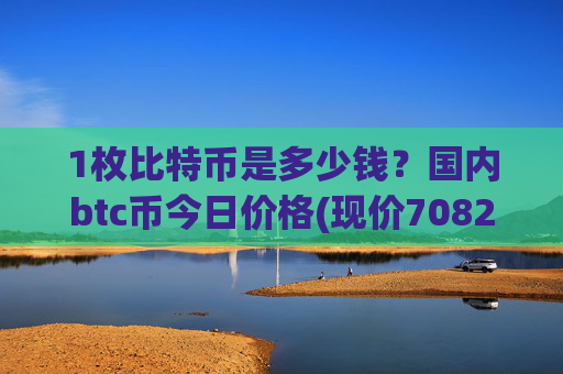 1枚比特币是多少钱？国内btc币今日价格(现价708232.21元)