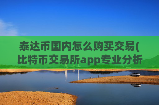 泰达币国内怎么购买交易(比特币交易所app专业分析)