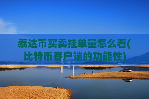 泰达币买卖挂单量怎么看(比特币客户端的功能性)