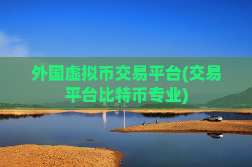 外国虚拟币交易平台(交易平台比特币专业)