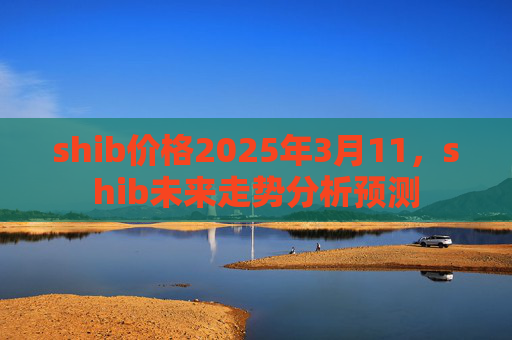 shib价格2025年3月11，shib未来走势分析预测