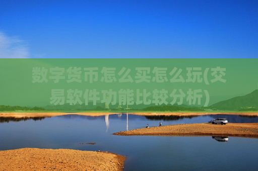 数字货币怎么买怎么玩(交易软件功能比较分析)