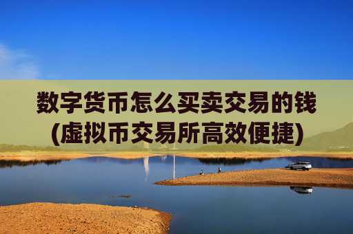 数字货币怎么买卖交易的钱(虚拟币交易所高效便捷)