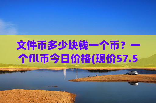 文件币多少块钱一个币？一个fil币今日价格(现价57.5677元)