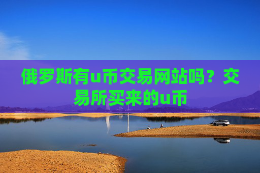 俄罗斯有u币交易网站吗？交易所买来的u币