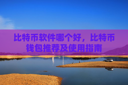 比特币软件哪个好，比特币钱包推荐及使用指南
