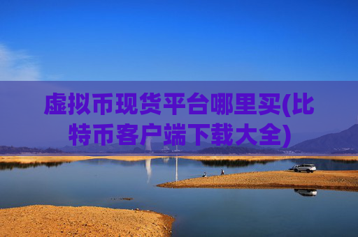 虚拟币现货平台哪里买(比特币客户端下载大全)
