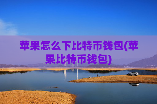 苹果怎么下比特币钱包(苹果比特币钱包)