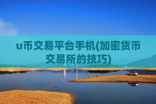 u币交易平台手机(加密货币交易所的技巧)