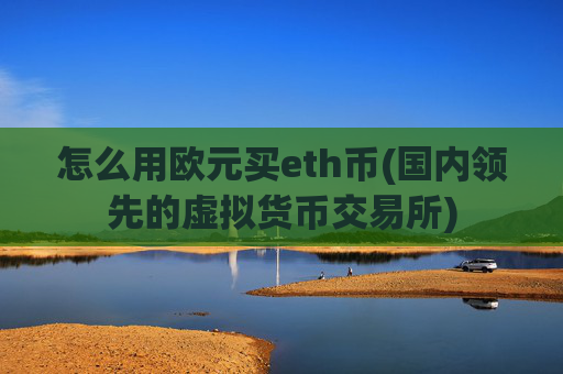 怎么用欧元买eth币(国内领先的虚拟货币交易所)