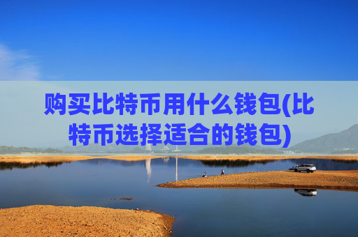 购买比特币用什么钱包(比特币选择适合的钱包)