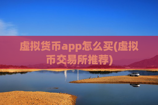 虚拟货币app怎么买(虚拟币交易所推荐)