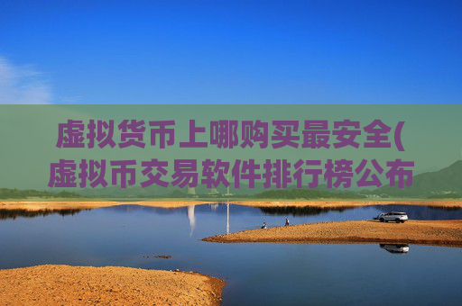 虚拟货币上哪购买最安全(虚拟币交易软件排行榜公布)
